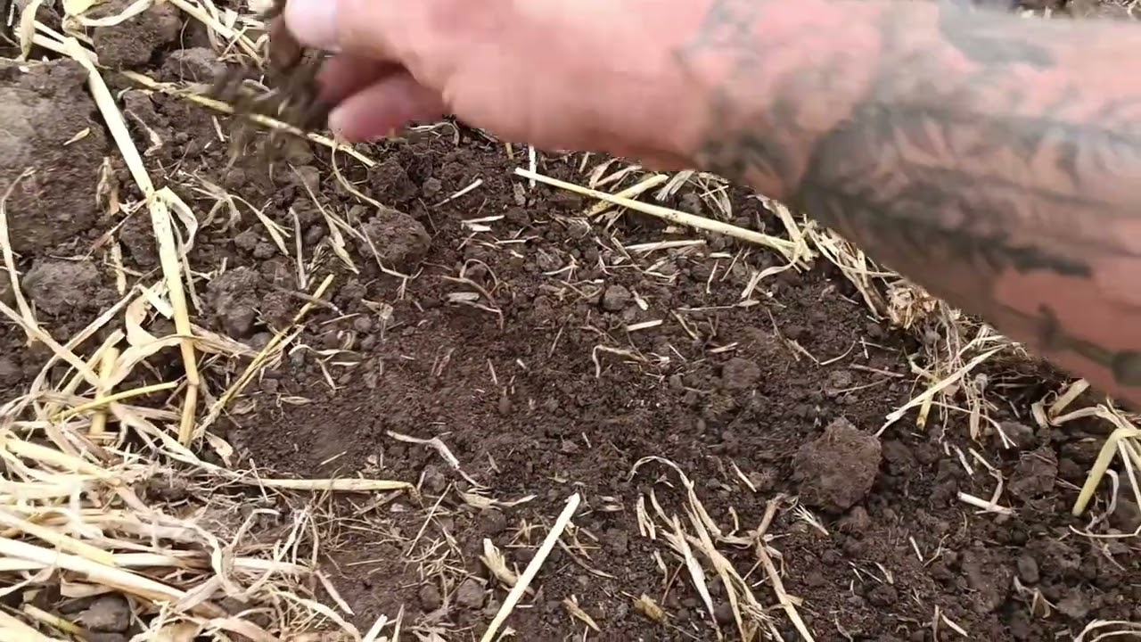 XP Deus 2 Polní nastavení 3X jinak na cíle v terénu živě (FT,pitch,tekkna)