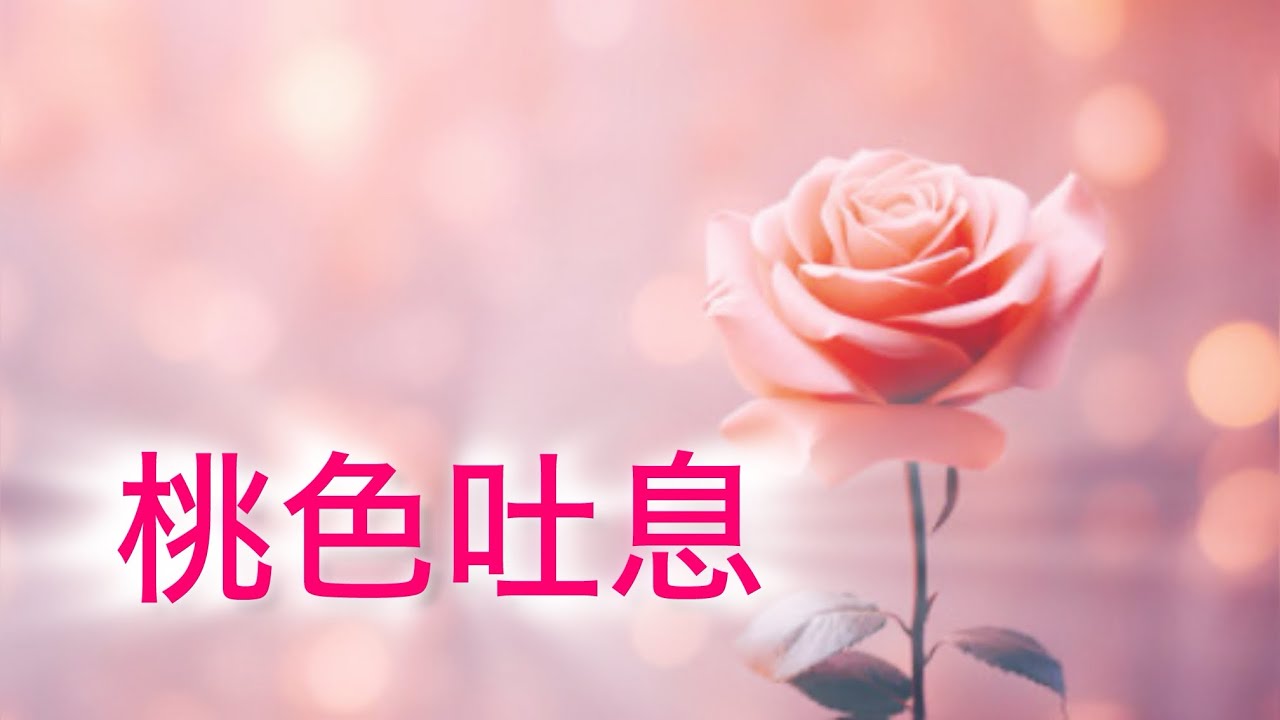 桃色吐息   高橋真梨子  （cover NAO）