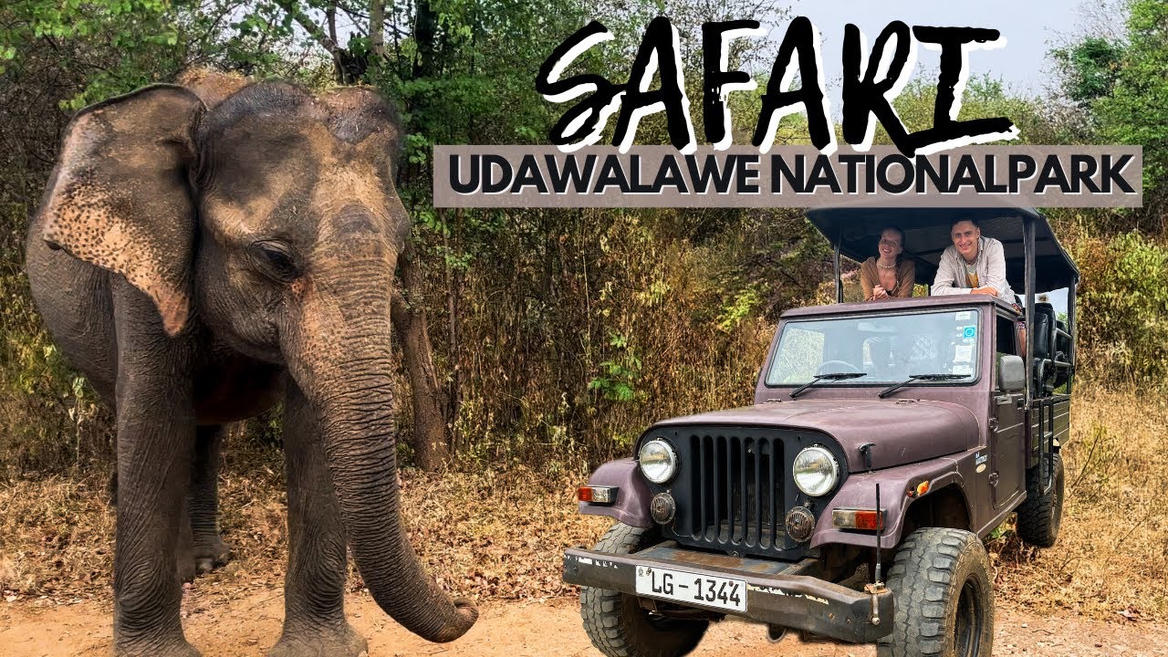 Unvergessliche Safari auf Sri Lanka! Elefantenbaby im Uduwalawe Nationalpark!
