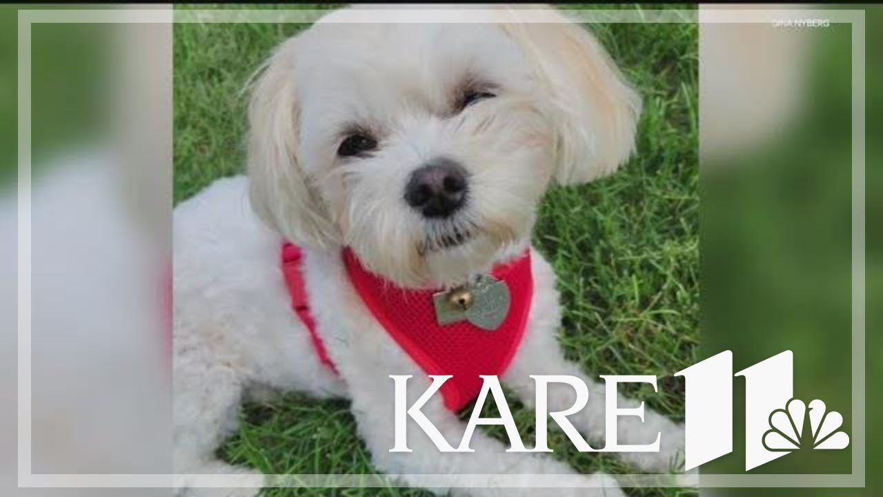 Violent dog attack in Burnsville park takes turn for the worst