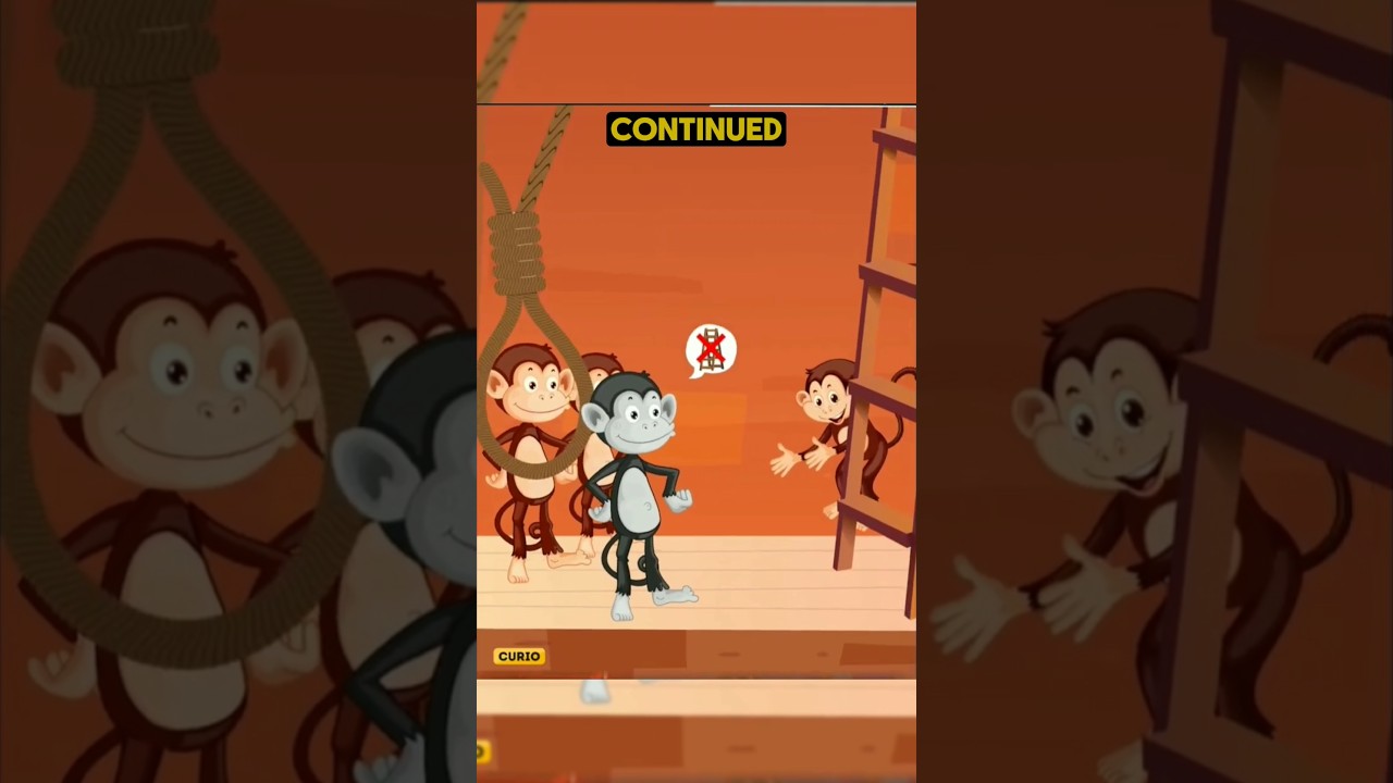 Monkeys ladder 🪜 experiment! #facts #recap #news