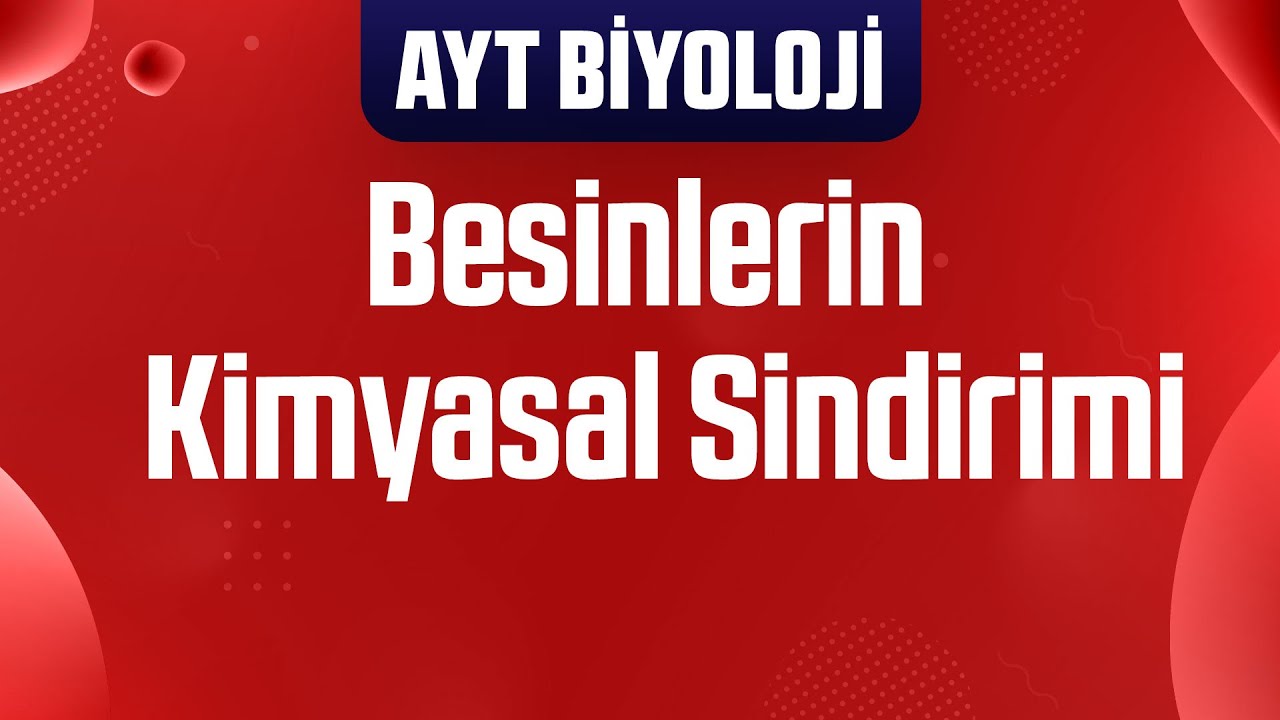 16) Besinlerin Kimyasal Sindirimi (AYT Biyoloji Kampı)