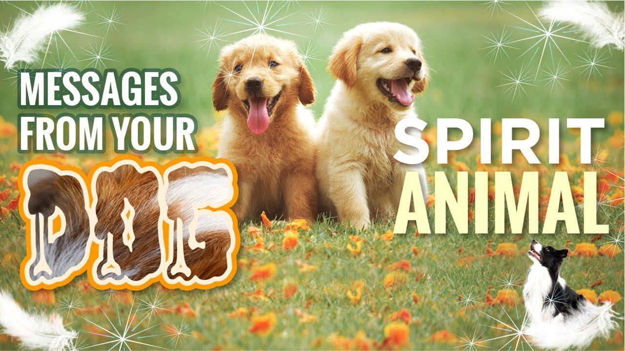 The Dog Spirit Animal &ndash; What it means when You Have a Dog Spirit Animal