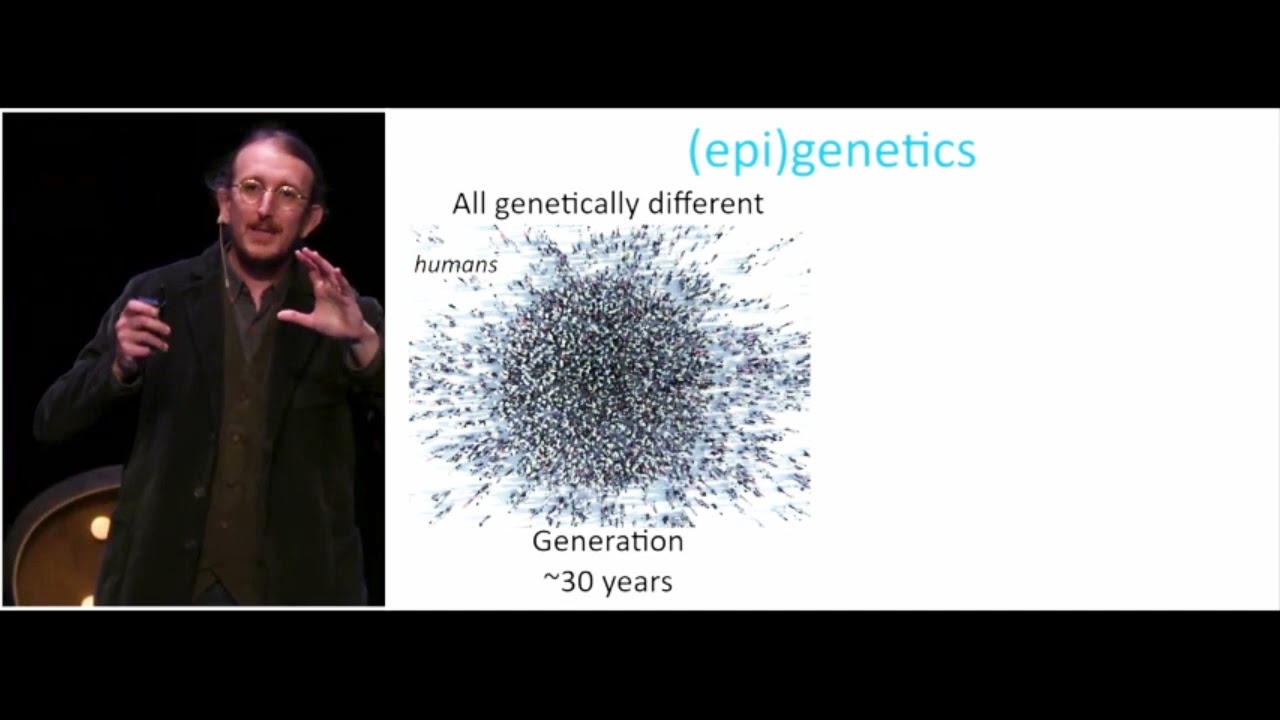 The Inheritance of Experience: How RNAs are Unlocking the Secrets of Epigenetic Memory