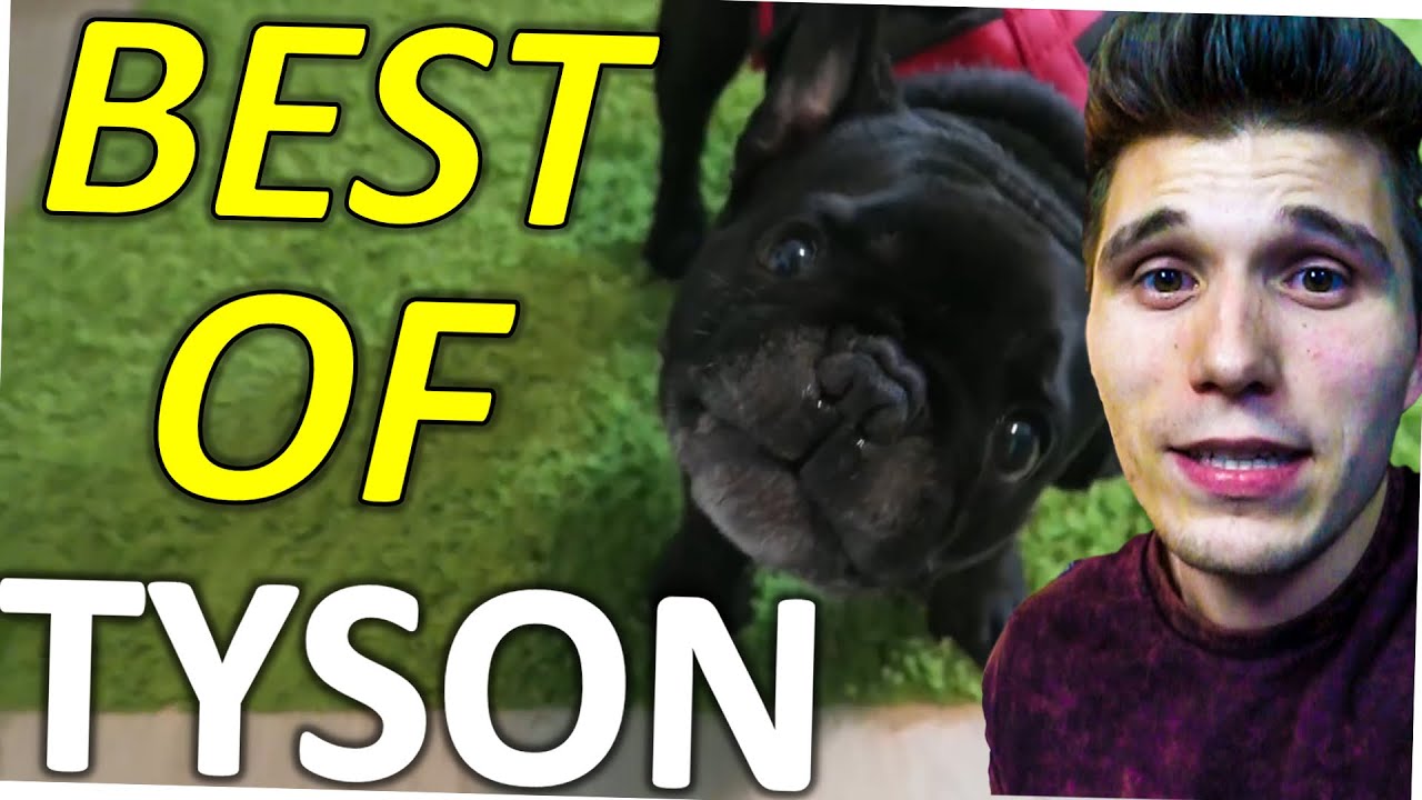 Best of TYSON (ft. Paluten & Peterle)