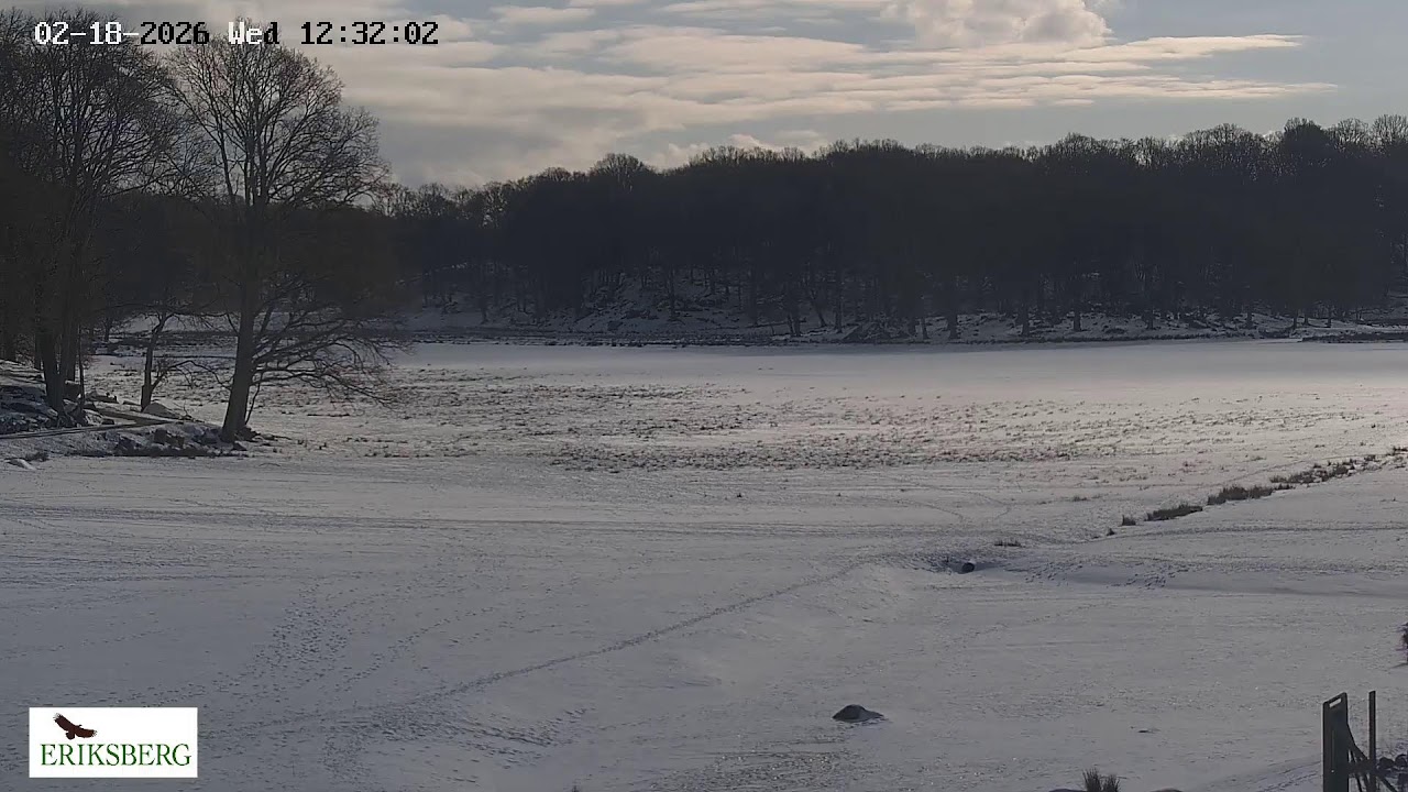 Livestream från Eriksberg Vilt & Natur