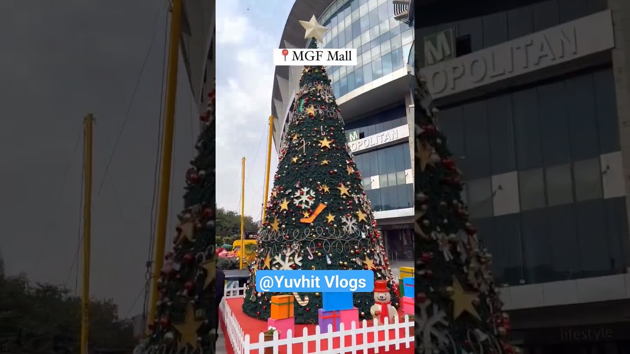 Top 6 places to visit in Jaipur  Christmas Festival 2023 🎊🤶🎅🦌🦌🎄🎄