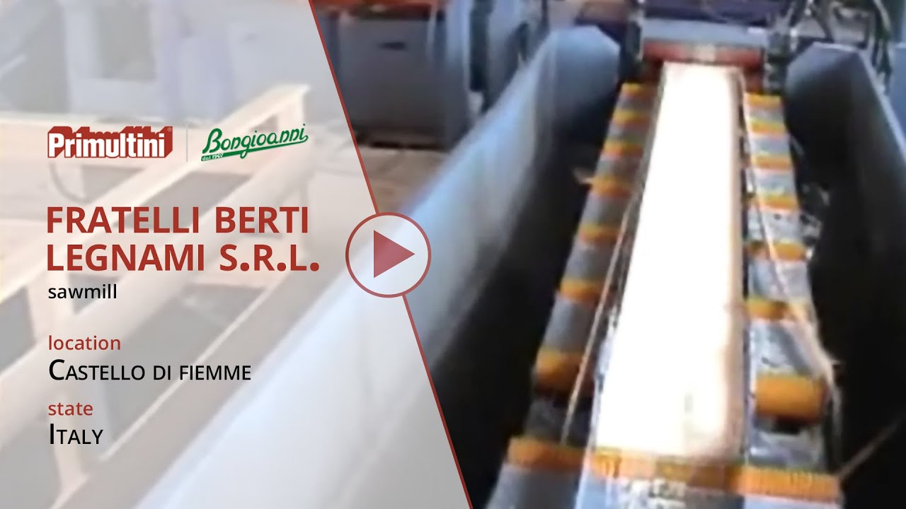 Sawmill Berti - Resawing machine