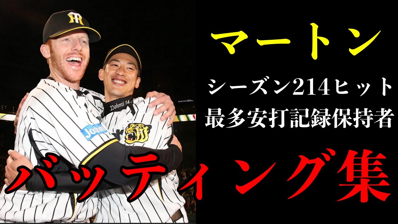 【ノウミサン、ダイスキ！！】色々合ったけど天才バッター！マートンのバッティング集