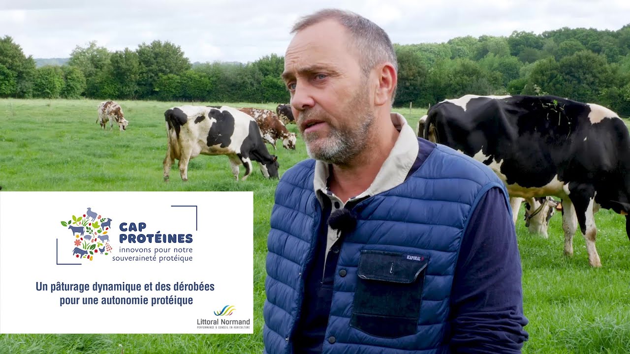 L'autonomie protéique dans une exploitation laitière du Calvados