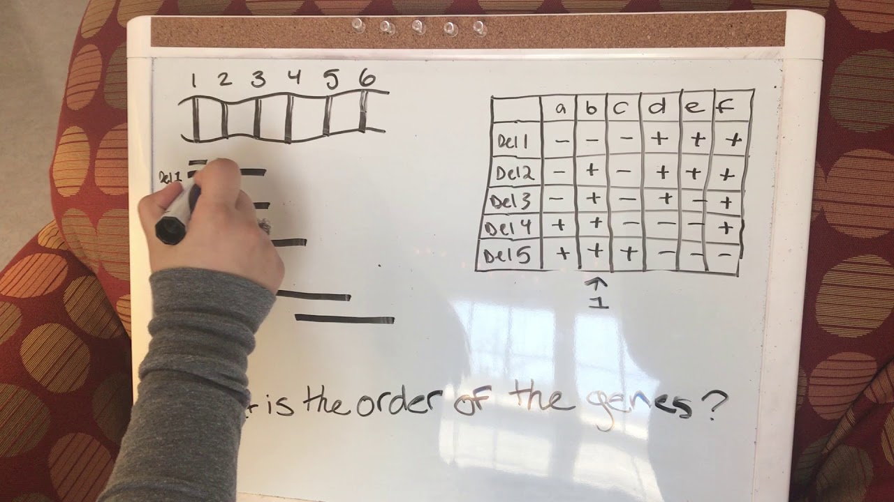 Deletion mapping