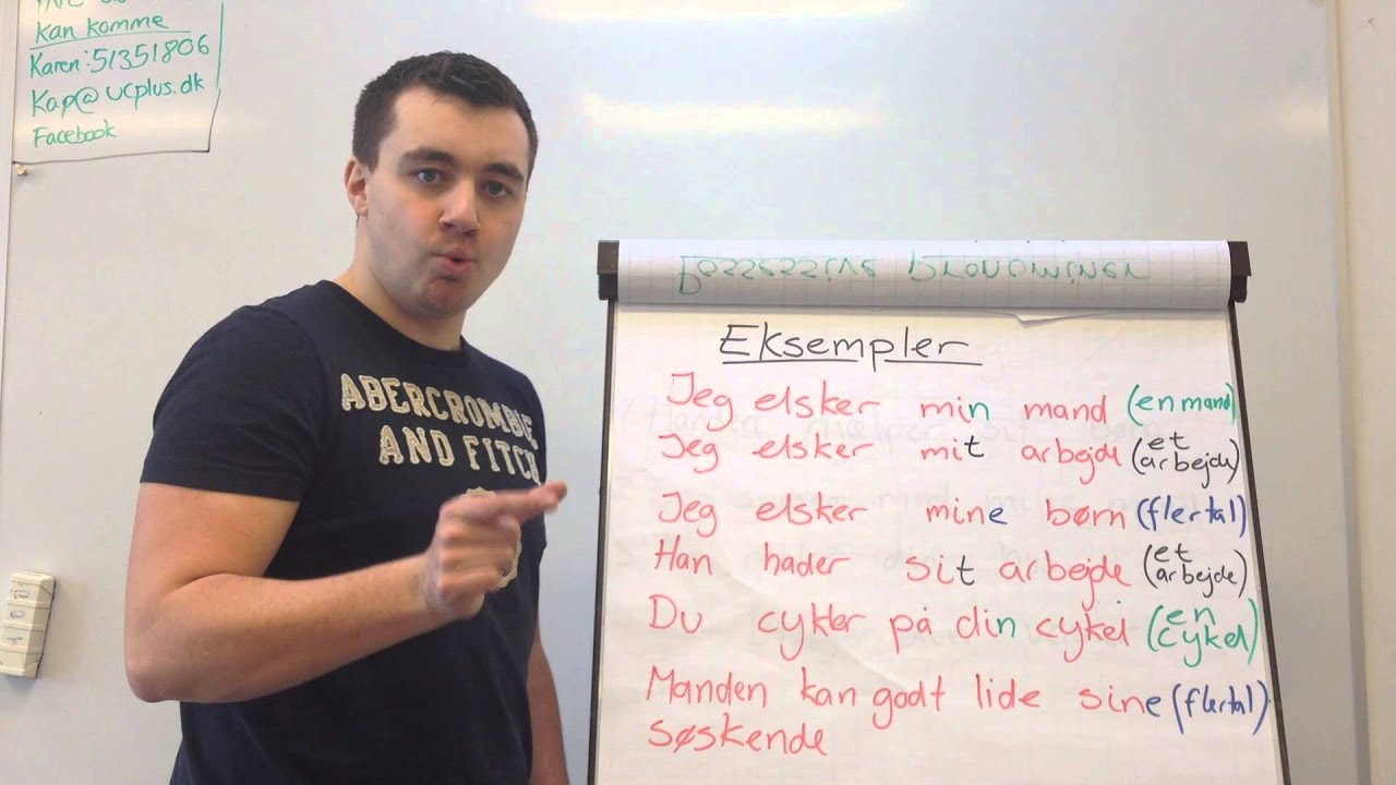12. Possesive pronominer