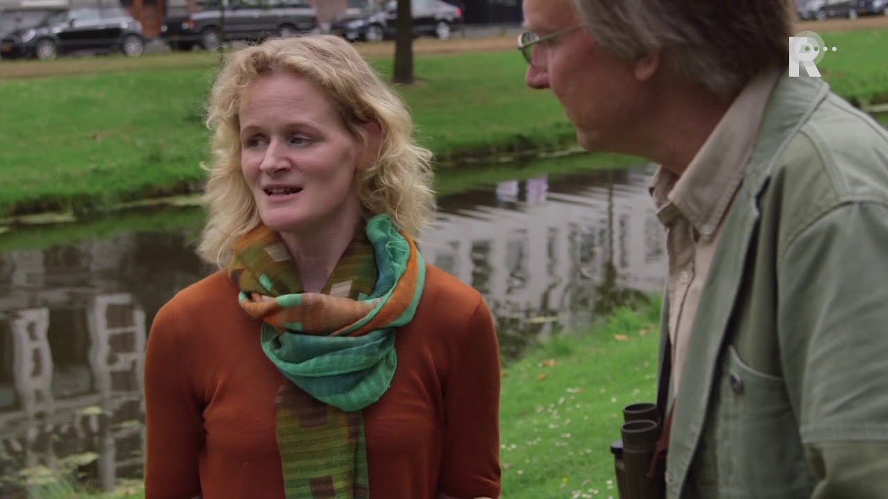 Rotterdammers in het Groen - De singel