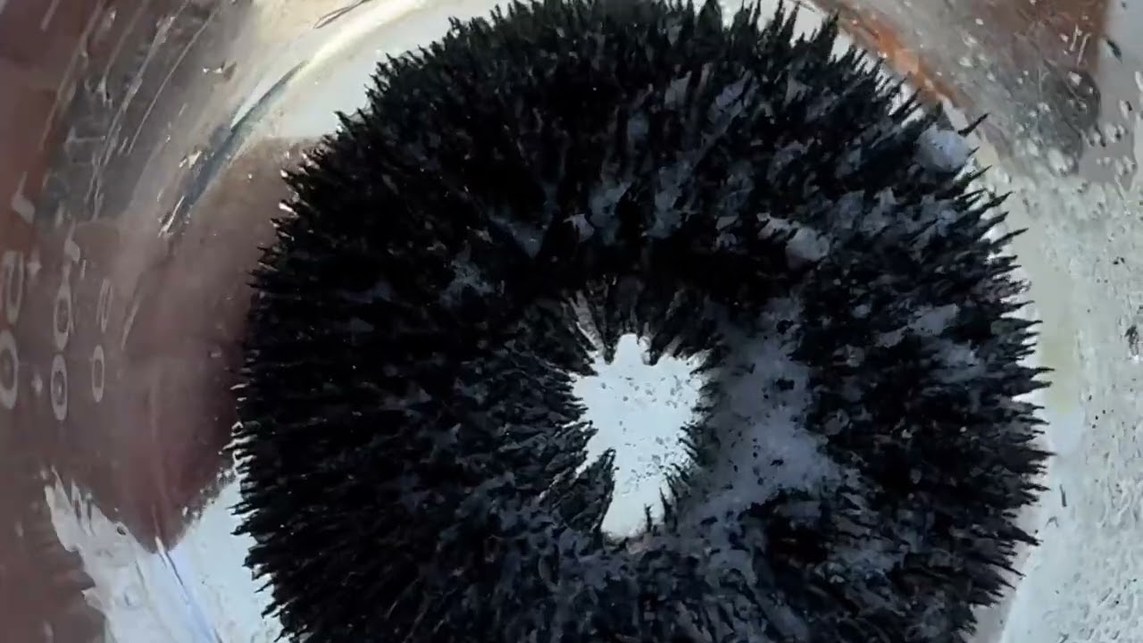 Centrifugal force for gold recovery from river sand