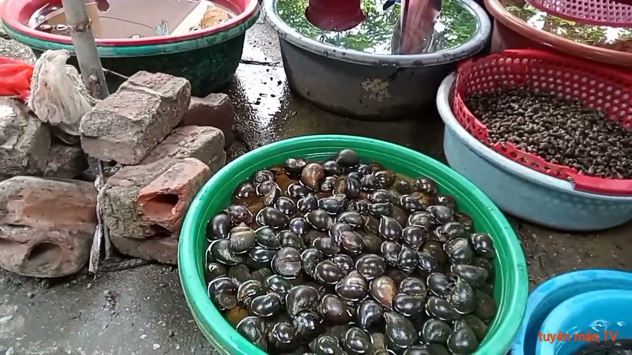 KHÁM PHÁ CHỢ TAM CỜ TP TUYÊN QUANG CÓ GÌ KHÁC CHỢ PHIÊN