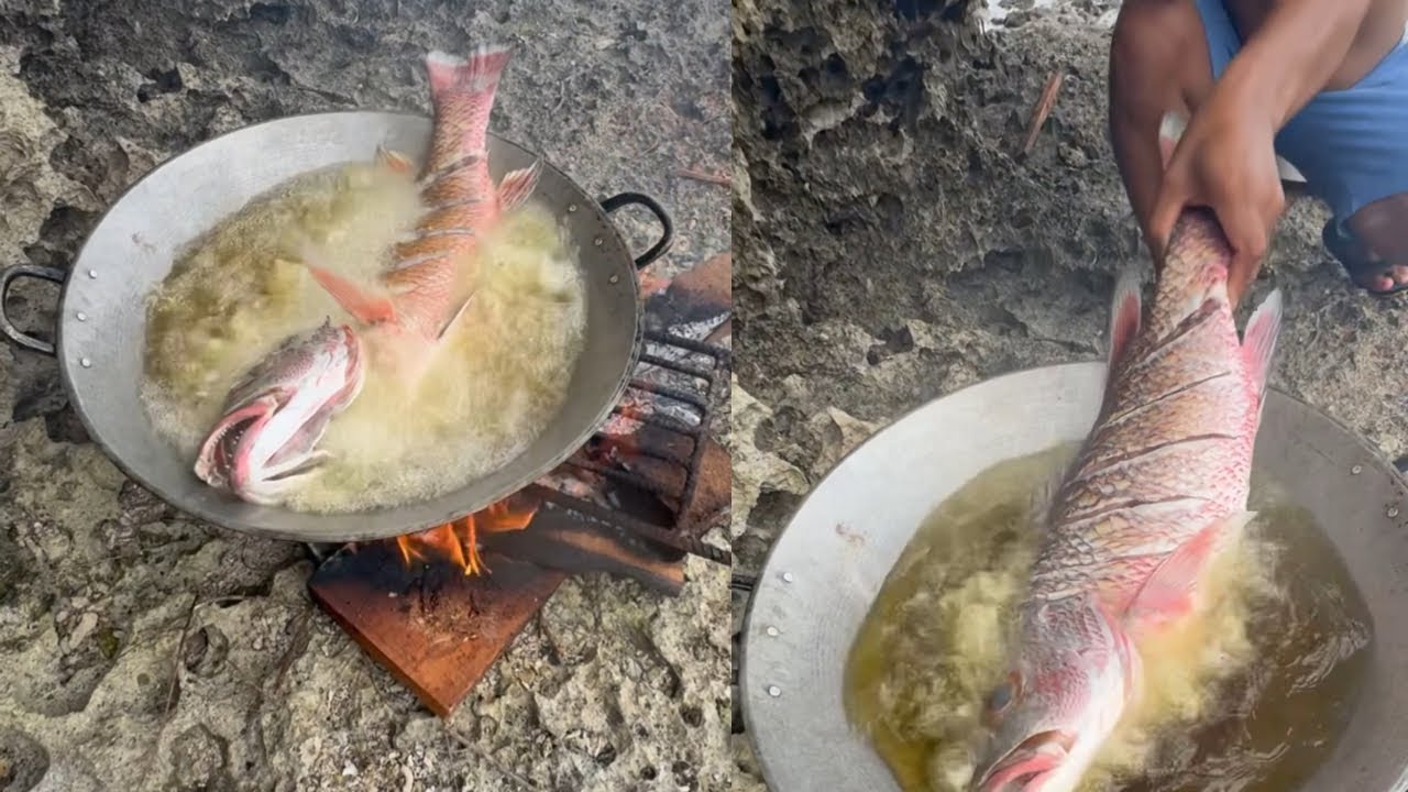 You’ve Never Seen a Fish This Big , #fish #village #farawayvillagefamily #cooking
