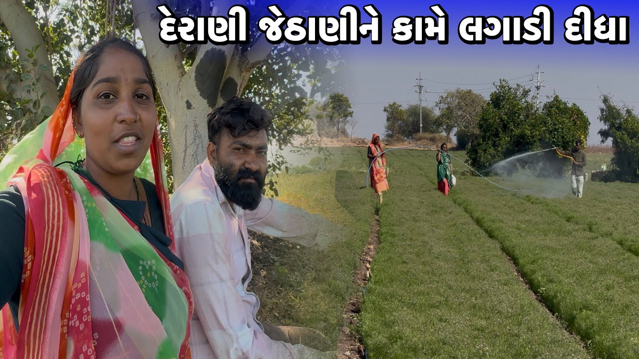 દેરાણી જેઠાણીને કામે લગાડી દીધા😱Derani Jethani Ne Kame Lagadi Didha