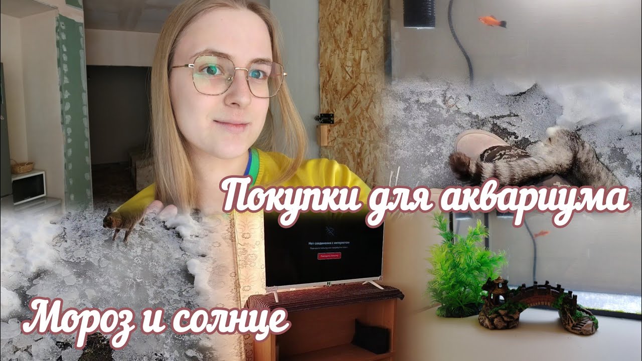 VLOG Мороз и солнце🌞 Покупки для аквариума🐬