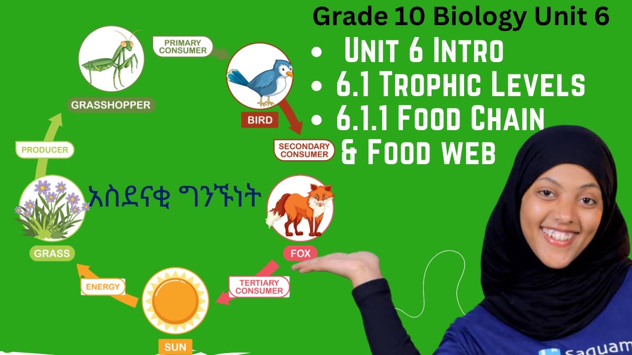 Grade 10 Biology Unit 6:  6 .1 Trophic Levels;6.1.1 Food Chain and Food web | Saquama