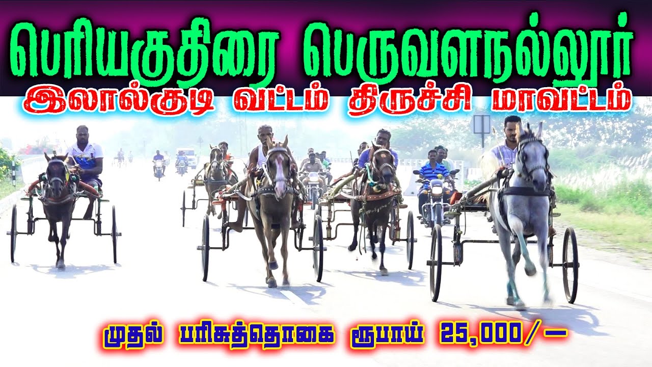 பெரியகுதிரை பெருவளநல்லூர் (18.01.2026) திருச்சி இலால்குடி பந்தயம்  #perai_raj_digital #horse