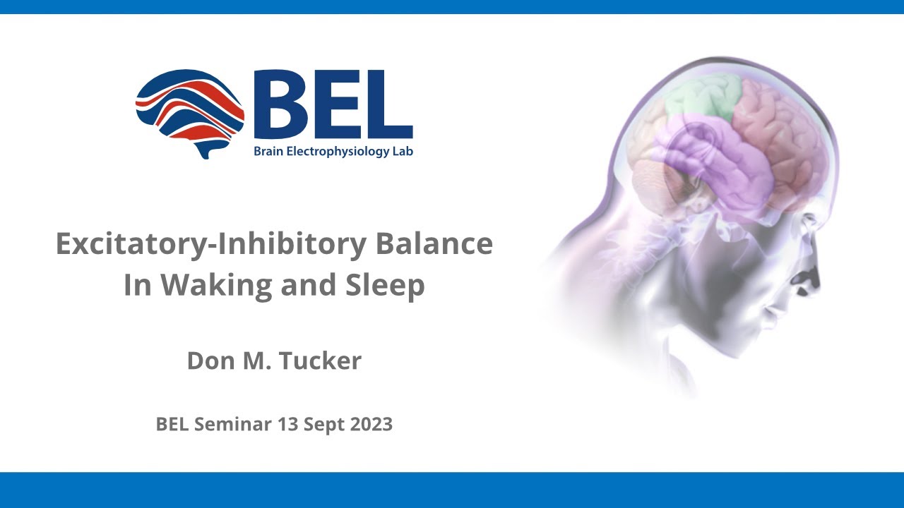 Science Talks: Excitatory Inhibitory Balance In Waking and Sleep