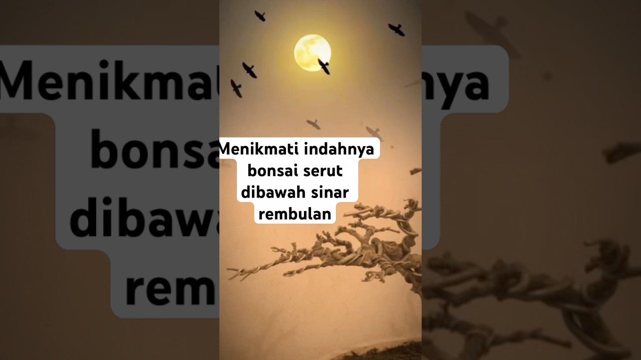 Update pruning serut sampi gundul
