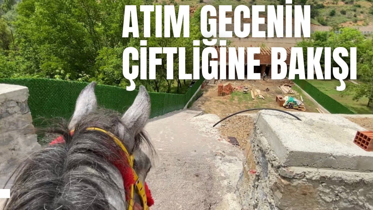 ATIM GECENİN ÇİFTLİĞİNE BAKIŞI