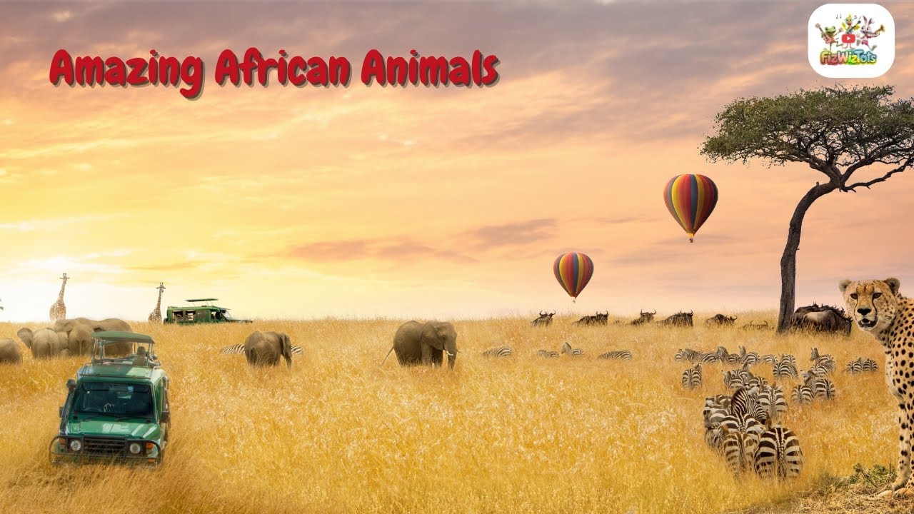 Amazing African Animals!  Wild Creatures Kids Love