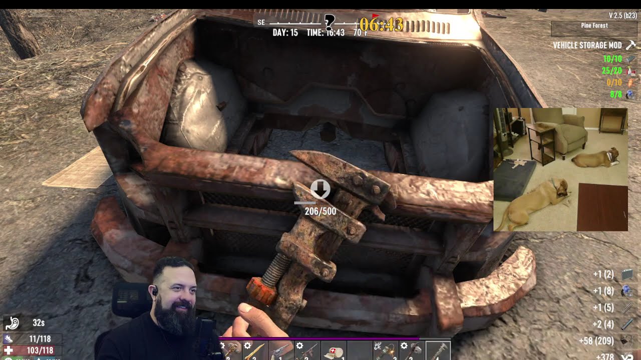 Fireworks and ferals again New Years edition