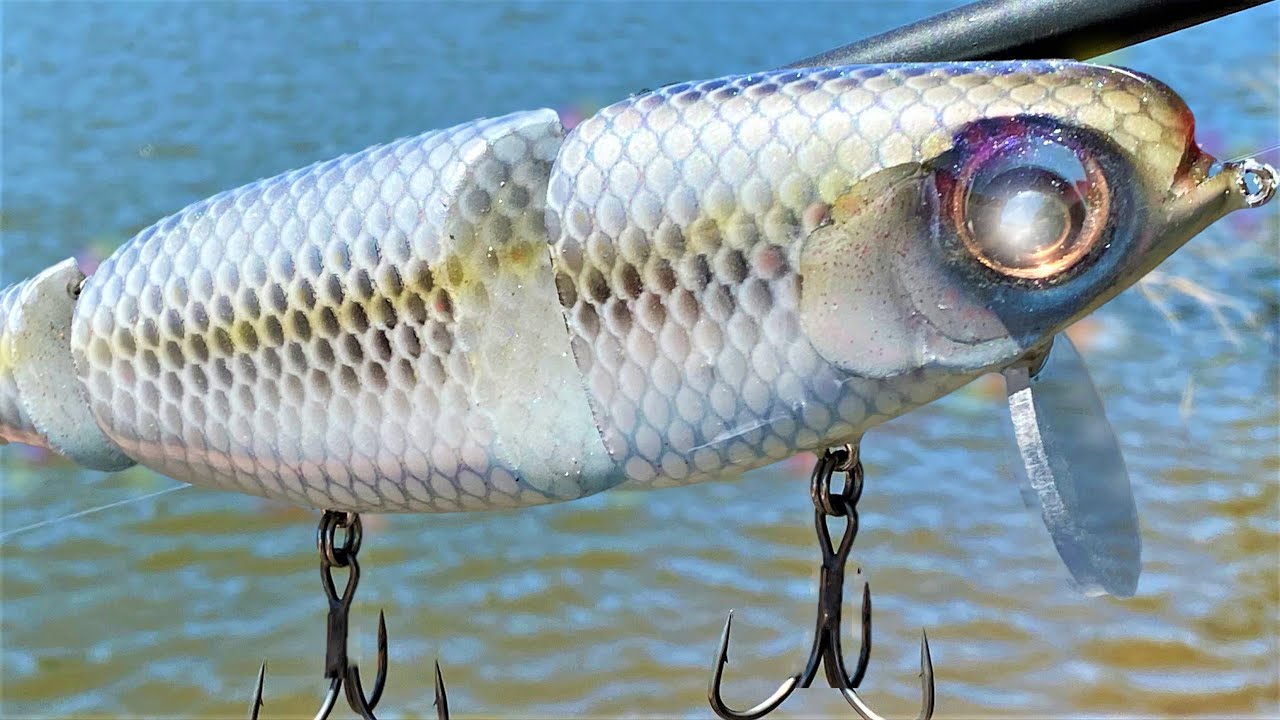 Big Loud Eye Knocker In a SwimBait