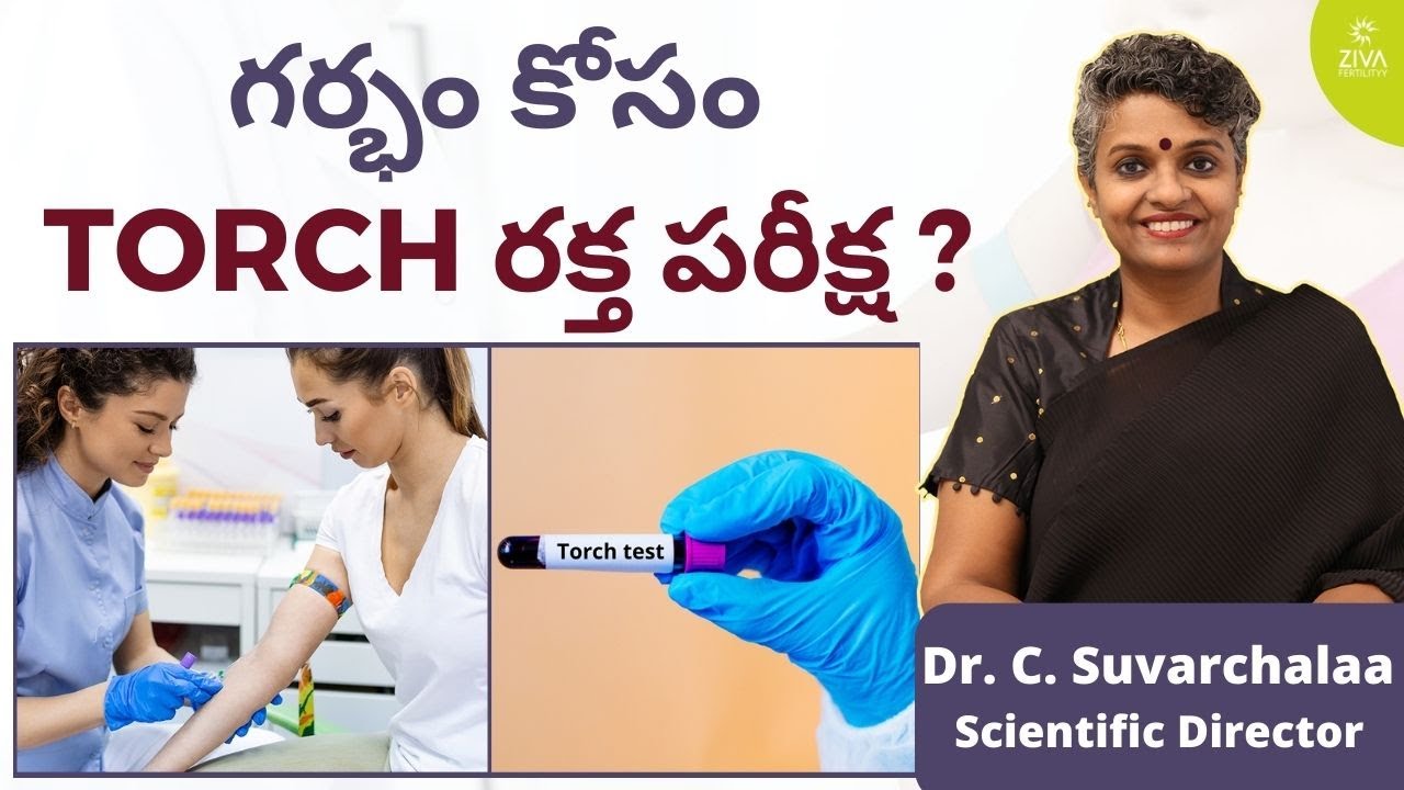 గర్భం కోసం TORCH రక్త పరీక్ష|| TORCH Test Before Pregnancy || Screening Test || Dr C Suvarchalaa