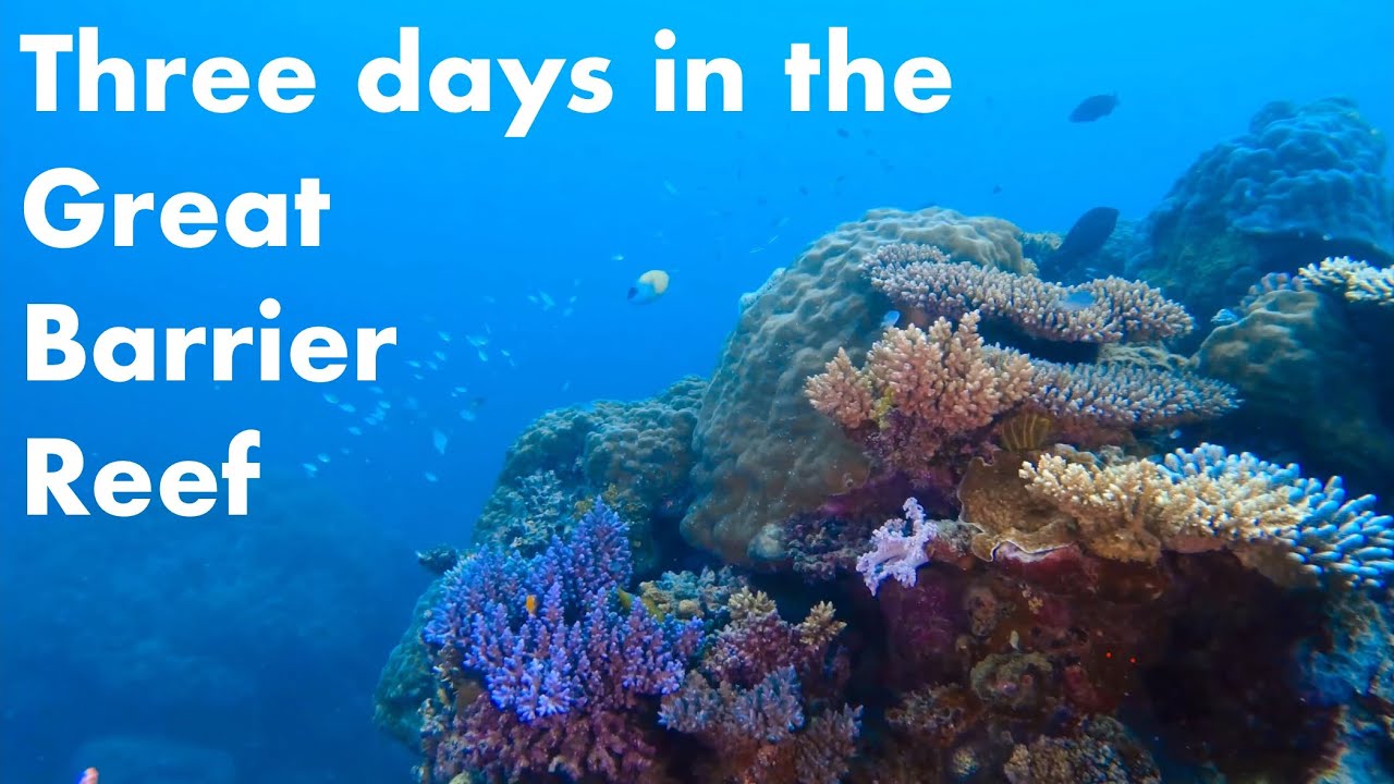 3 Days in the Great Barrier Reef | Scuba Diving | Cairns, Australia