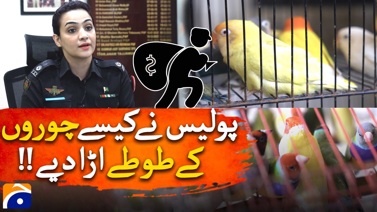 Police recovered Parrots worth Rs. 30 lakh after Theft | Geo Digital