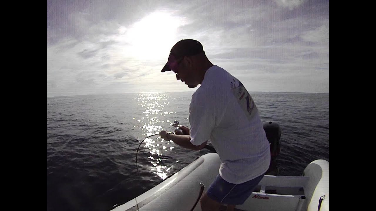 synit kingfish hunters bank accurate