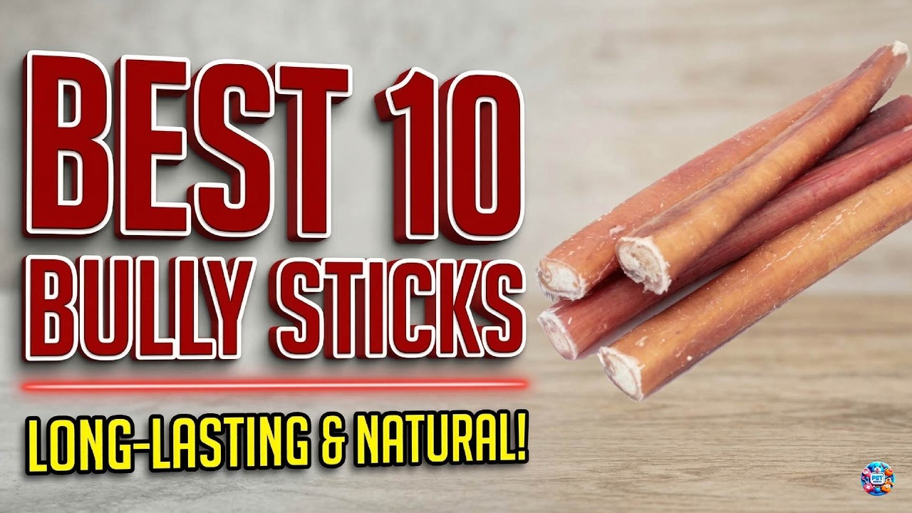 Top 10 Bully Sticks for Dogs (Safe & Long-Lasting Chews!)