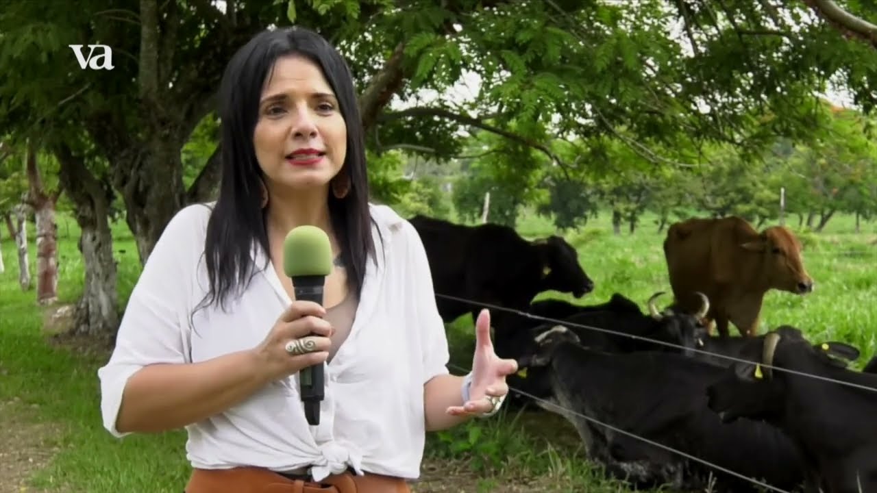 Veracruz Agropecuario - Pastos Invasores en Humedales