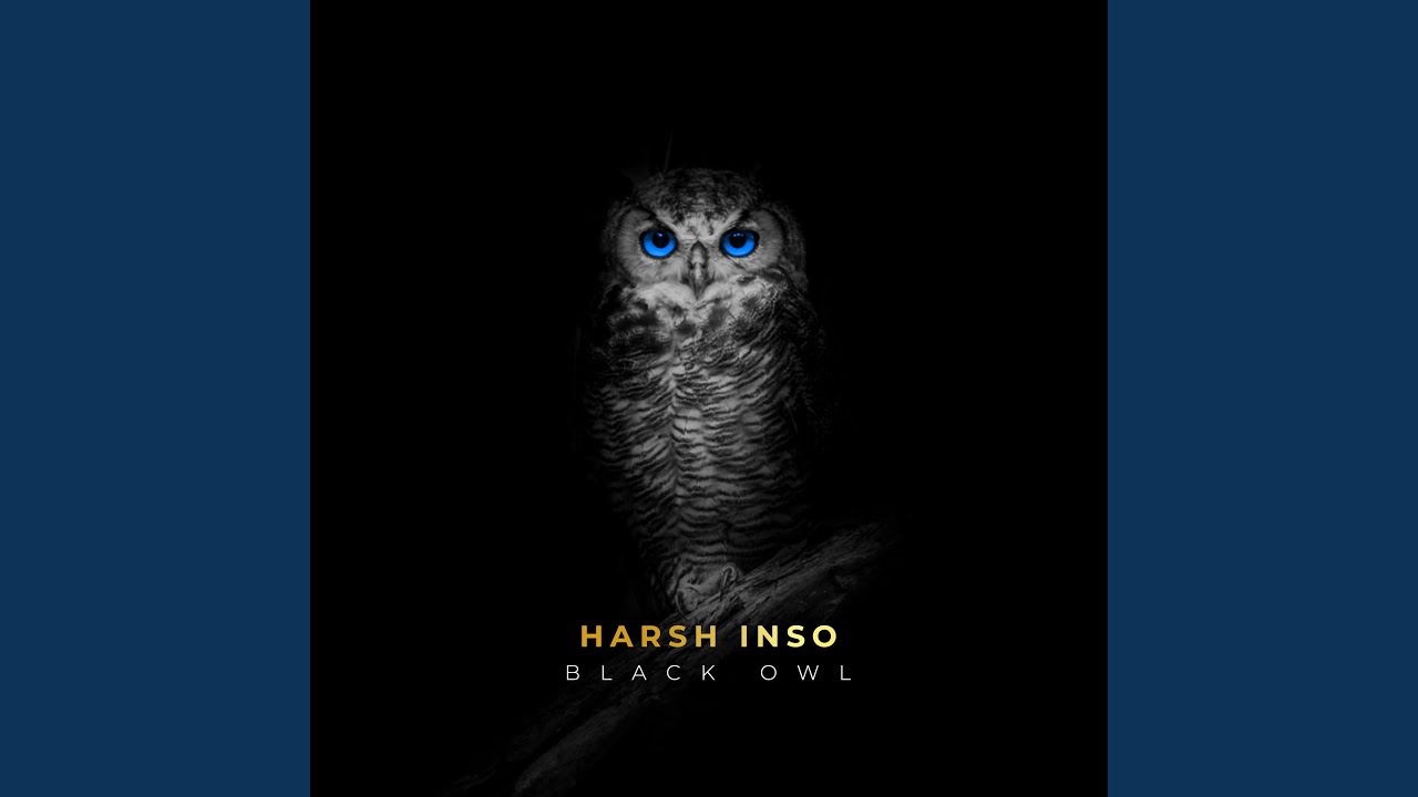 Black Owl
