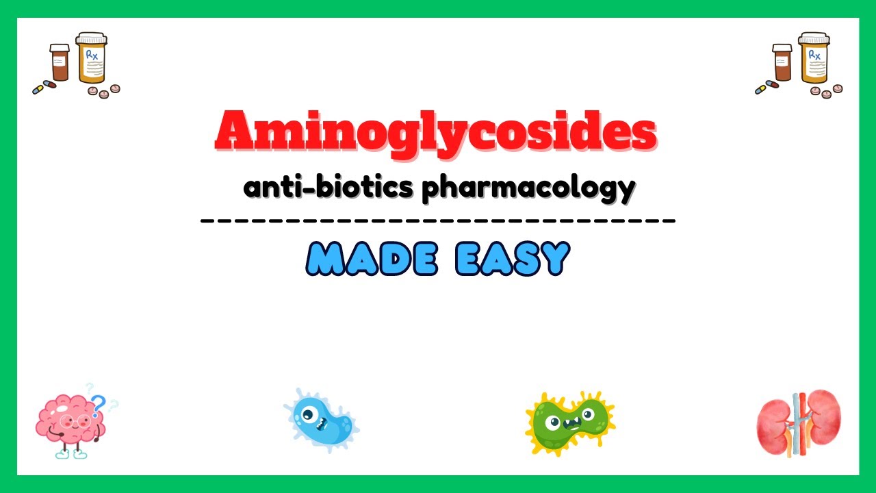 Antibiotics pharmacology, aminoglycosides pharmacology, clinical pharmacology lectures antibiotics