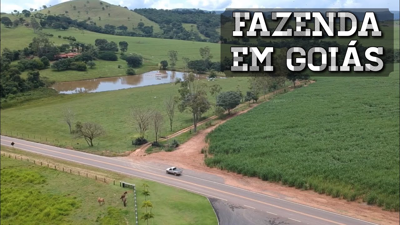 FAZENDA EM GOIÁS