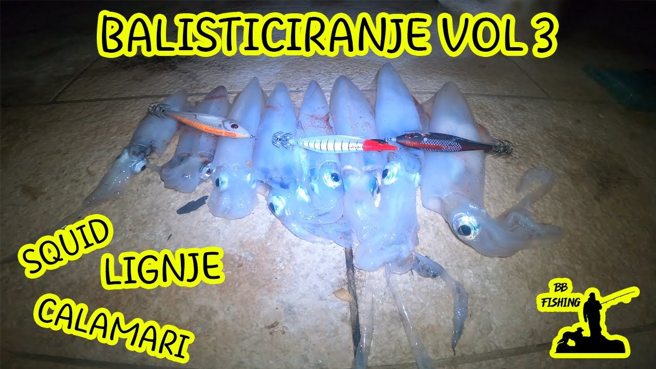LOV LIGNJI S OBALE -  BALLISTICIRANJE VOL. 3 (KAKO JA LOVIM S BALLISTICOM)