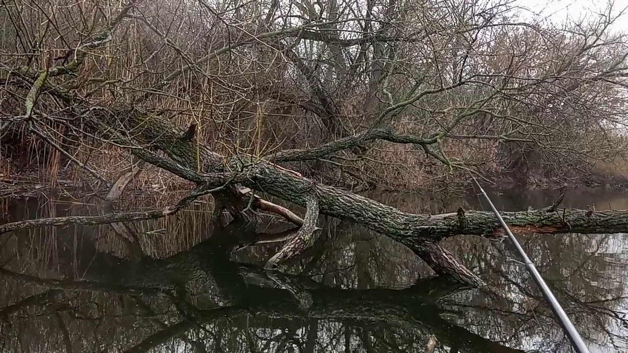 На боковой кивок