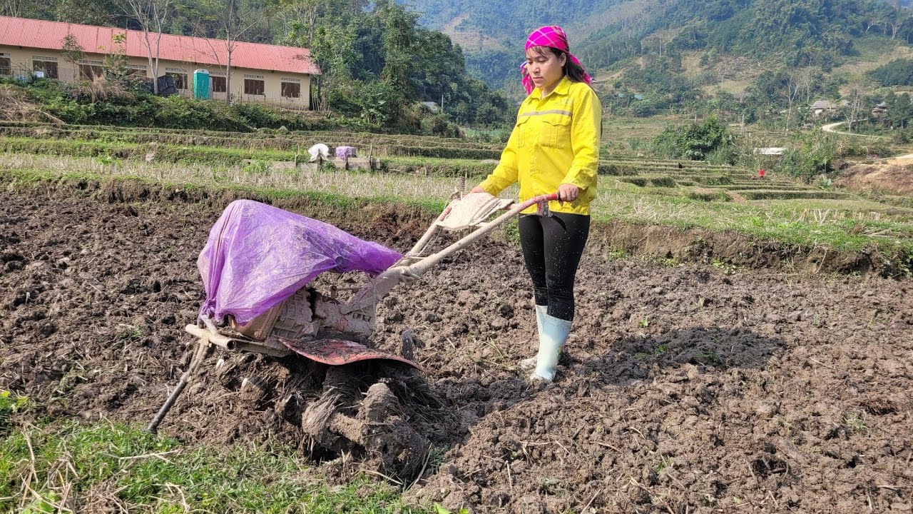 Một buổi đi cày ruộng bằng máy cày của cô gái sẽ thế nào 
