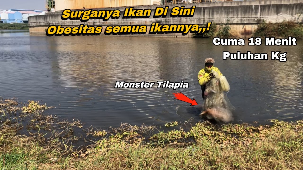 JALA IKAN!!SURGANYA IKAN MONSTER OBESITAS SEMUA IKANNYA! JALA MANIA