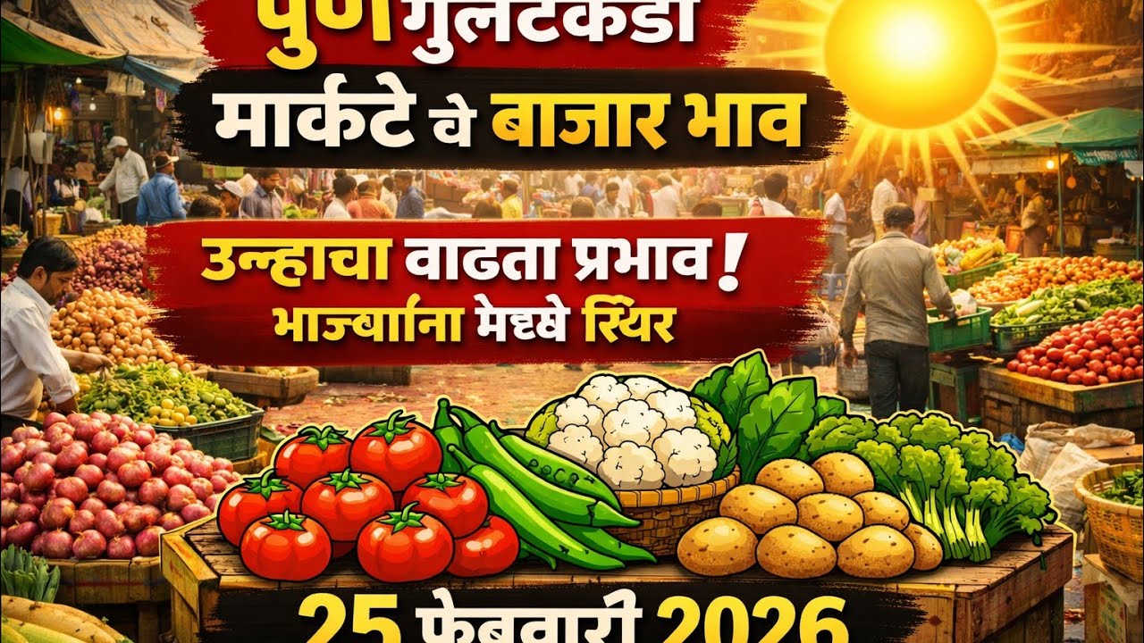 २५ फेब्रुवारी २०२६ पुणे गुलटेकडी मार्केट बाजार भाव 