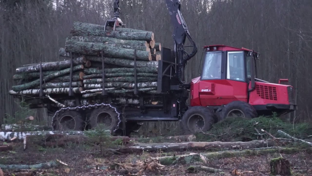 Valmet 840.3 logging in autumn forest, big load