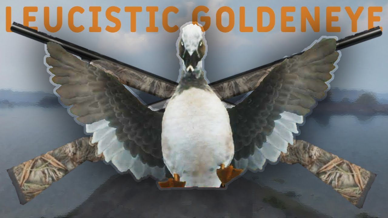 LEUCISTIC GOLDENEYE to Start 2026!!! The Great Slaughter: Ep1