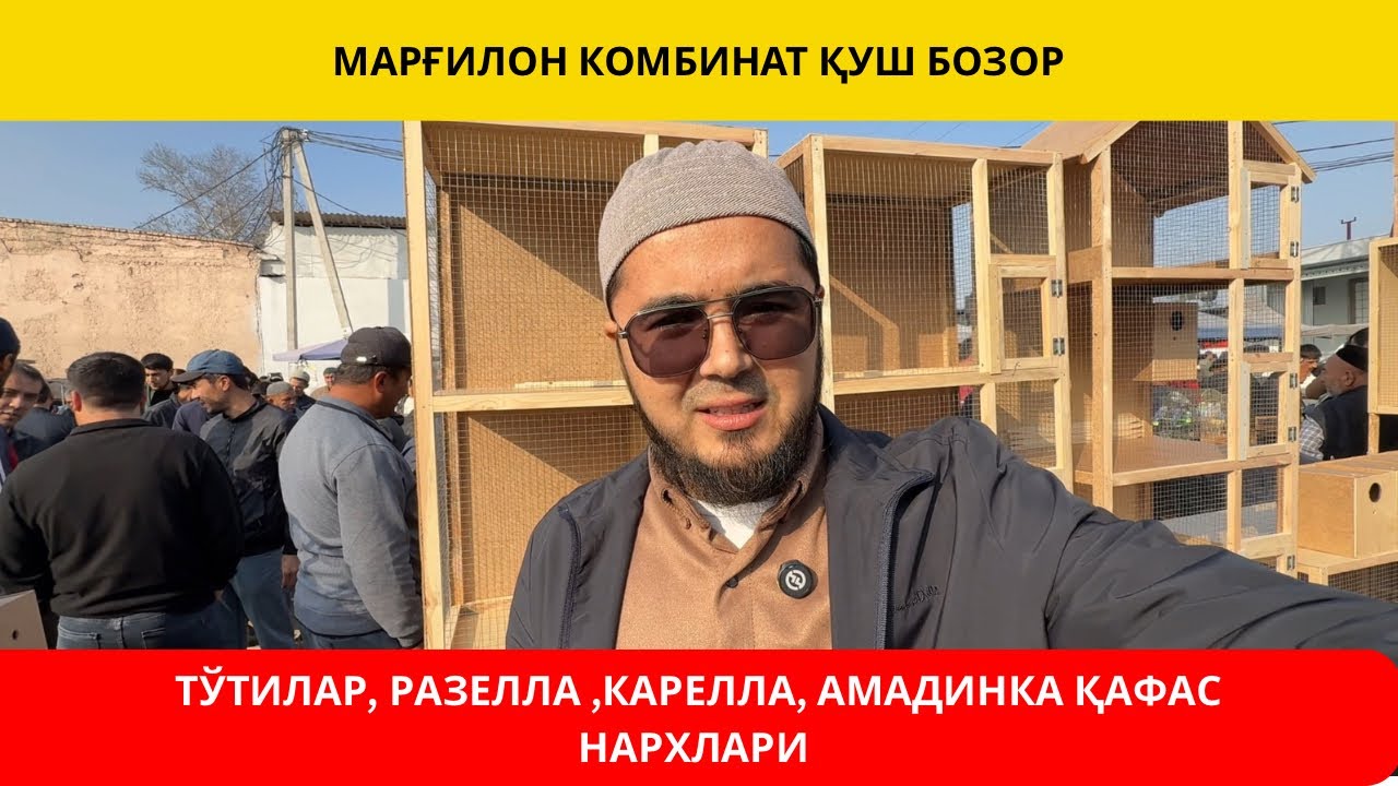  МАРҒИЛОН КОМБИНАТ ҚУШ БОЗОР | ( ПОПУГАЙ ) ТЎТИЛАР, ҚУШ ҚАФАС НАРХЛАРИ