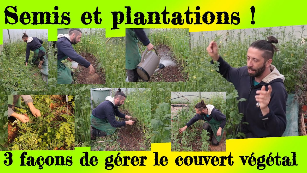 3 façons de gérer le couvert végétal. Semis et plantations !