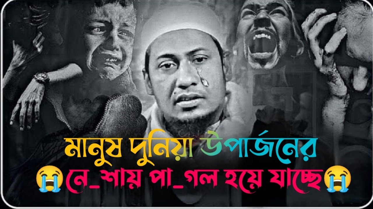 মানুষ দুনিয়া উপার্জনের নে_শায় পাগল হয়ে যাচ্ছে।😭#আনিসুর_রহমান_আশরাফী#anisur_rahman_ashrafi #waz#ওয়াজ
