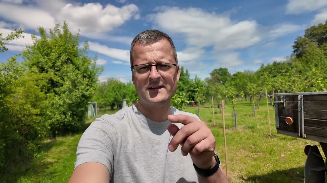 ✂️ Řez na pupen: Vnitřn&iacute; vs. venkovn&iacute; &ndash; Jak spr&aacute;vně tvarovat korunu stromu? 🌳